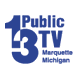 WNMU-DT Station Logo