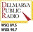 WSDL-FM Station Logo